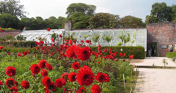 The Lost Gardens of Heligan are a must for any gardener to visit